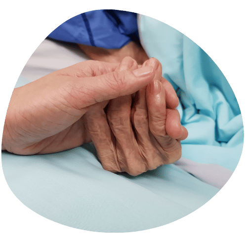 services (7)